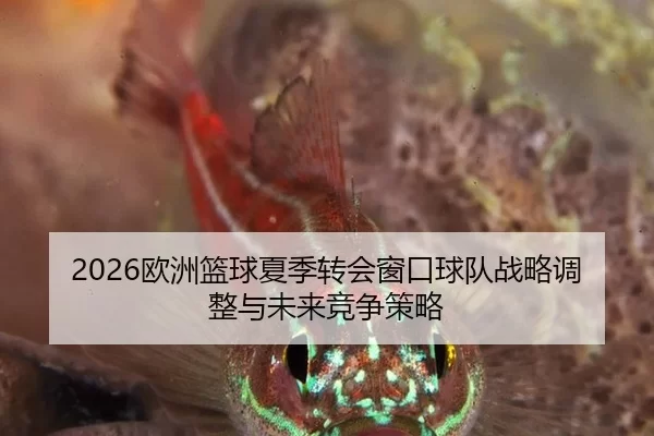 2026欧洲篮球夏季转会窗口球队战略调整与未来竞争策略