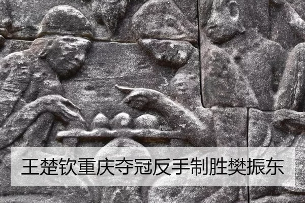 wang-chu-qin-chong-qing-duo-guan-fan-shou-zhi-sheng-fan-zhen-dong-2-513.jpg