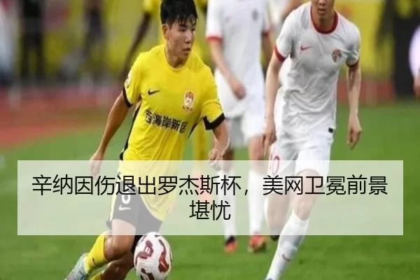 xin-na-yin-shang-tui-chu-luo-jie-si-bei-mei-wang-wei-mian-qian-jing-kan-you-2-284.jpg